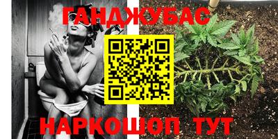 дживик Камышлов