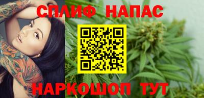 дживик Камышлов