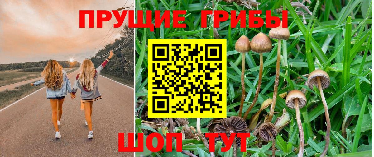 Псилоцибиновые грибы MAGIC MUSHROOMS  Вход с VPN  Галлюциногенные грибы Psilocybe  Черкесск 